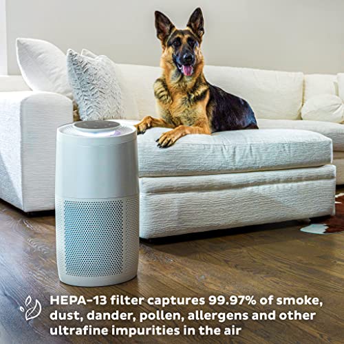HEPA Quiet Air Purifier with Plasma Ion Technology