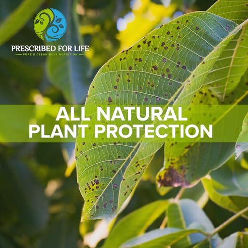 Pure USP Grade Potassium Bicarbonate Powder | 1 lb