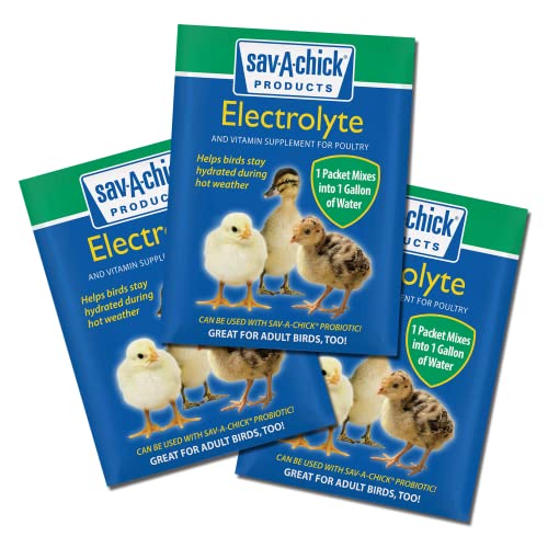 Keto-Friendly Electrolyte & Vitamin Supplement Packets