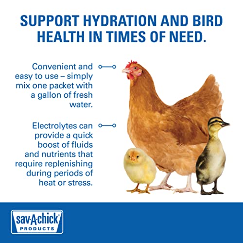 Keto-Friendly Electrolyte & Vitamin Supplement Packets