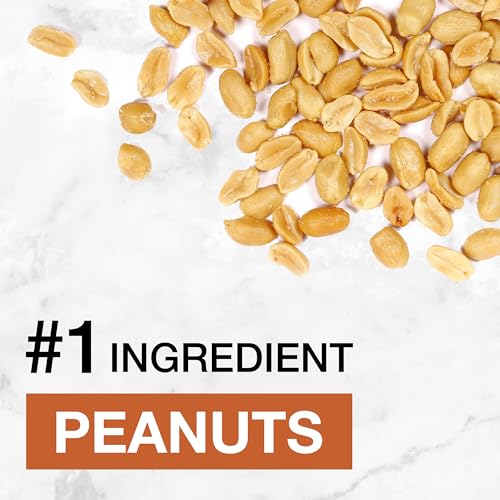 KIND Protein MAX Chocolate Peanut Butter Bars 12-Pack