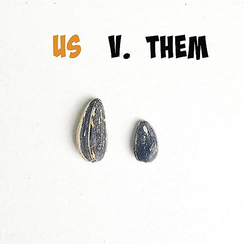 Roasted Jumbo Sunflower Seeds | 7 Flavor Sampler Pack