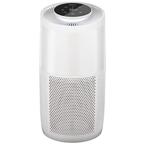 HEPA Quiet Air Purifier with Plasma Ion Technology