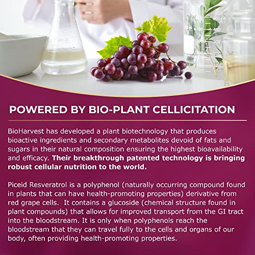 Keto-friendly 12-Hour Resveratrol Supplement for Heart Health