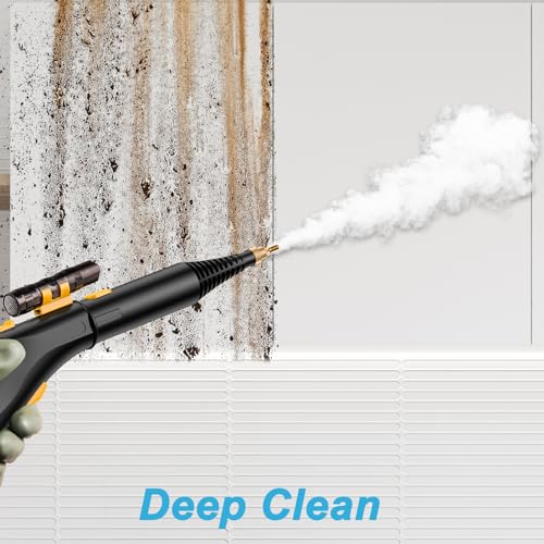 High Pressure Handheld Steamer for Keto Cleaning: CAYAMA Steam Cleaner