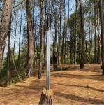 Custom Carbon Steel Tactical Viking Hunting Sword