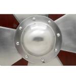 Berserker Viking Shield 18G Steel for LARP