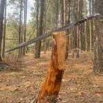 Hand Forged Viking Sword with Sheath - Gift Ready