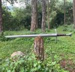 Personalized Carbon Steel Tactical Viking Sword