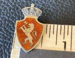 Norwegian Sterling Silver Coat Arms Crown Pin