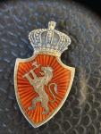 Norwegian Sterling Silver Coat Arms Crown Pin