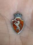Norwegian Sterling Silver Coat Arms Crown Pin