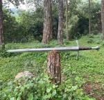 Viking Tactical Sword with Carbon Steel Blade