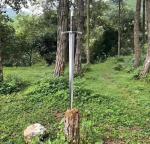 Viking Tactical Sword with Carbon Steel Blade