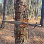 Viking Battle Ready Hand Forged Steel Sword