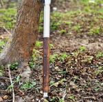 Custom Carbon Steel Viking Hunting Spear