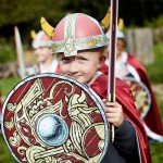 Liontouch Viking Shield | Chief Harald Foam Toy