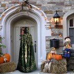 Dark Green Viking Hooded Cloak for Cosplay