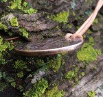 Vegvisir Norse Compass Necklace with Leather Cord