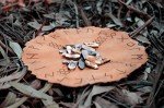 Viking Rune Divination Set with Leather Mat