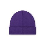 Minnesota Vikings Logo Beanie Hat for Men