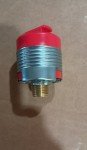 Viking Freedom® Hidden Pendent Sprinkler VK494