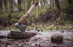 Custom Forged Viking Axe with Rosewood Handle