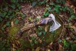 Custom Forged Carbon Steel Viking Axe with Sheath