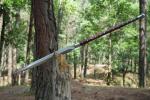 Personalized Carbon Steel Viking Spear Sword