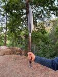 Hand Forged 15" Viking Throwing Spear
