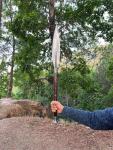 Hand Forged 15" Viking Throwing Spear