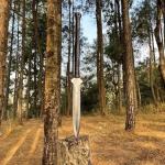 Custom Viking Spear with Carbon Steel Blade