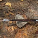 Custom Viking Spear with Carbon Steel Blade