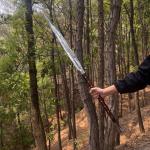 Custom Viking Spear with Carbon Steel Blade