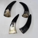 AnNafi® Viking Drinking Horn Mug Set of 4