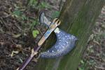 Leviathan God of War Viking Axe Hatchet