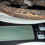 Odin on Sleipnir Wall Art - Viking Rune Decor