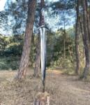 Custom Viking Sword with Carbon Steel Blade
