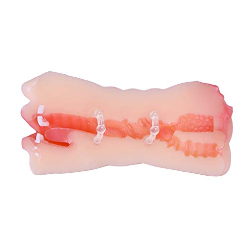 Male 3in1 Blowjob Machine with Silicone Pocket Puzzy