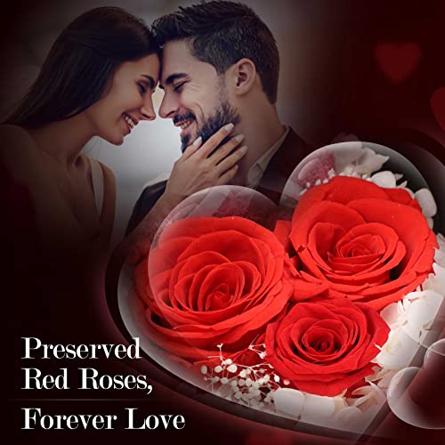 Romantic Forever Roses & Silver Necklace for Celebrations