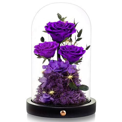 Forever Rose in Glass Dome - Perfect Valentine's Gift