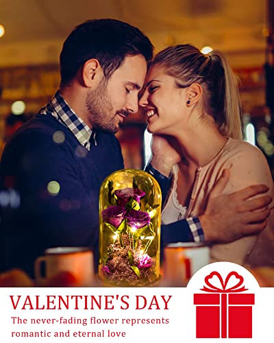 Forever Rose in Glass Dome - Perfect Valentine's Gift