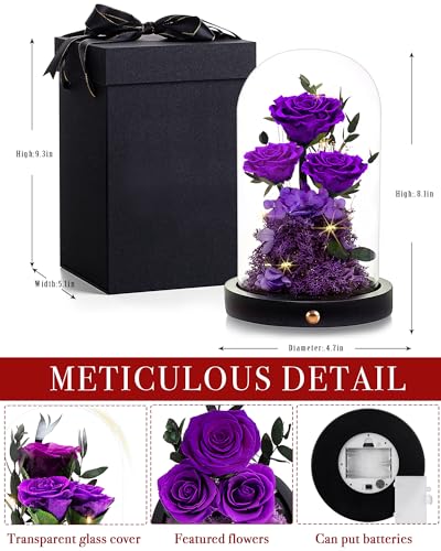 Forever Rose in Glass Dome - Perfect Valentine's Gift