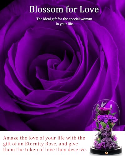 Forever Rose in Glass Dome - Perfect Valentine's Gift