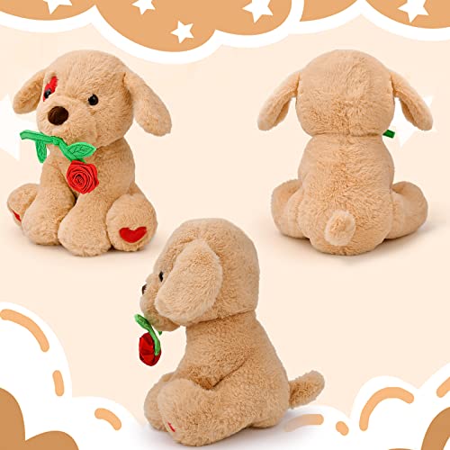 Valentines Plush Stuffed Animal: Funny Cute Puppy Dog