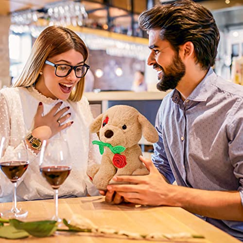 Valentines Plush Stuffed Animal: Funny Cute Puppy Dog