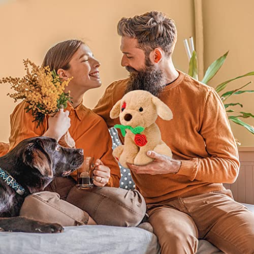 Valentines Plush Stuffed Animal: Funny Cute Puppy Dog