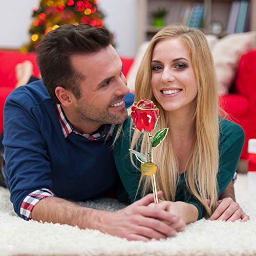 24K Gold Rose Gifts for Her, Wife, Mothers Day