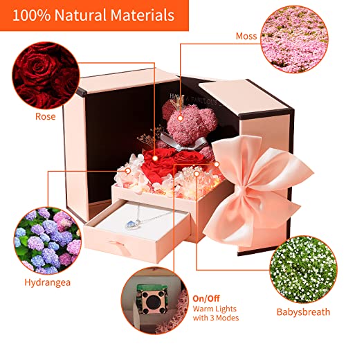 Rose Moss Bear & Silver Heart Necklace - LED Light Celebrations