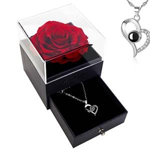Preserved Real Red Rose with I Love You Necklace